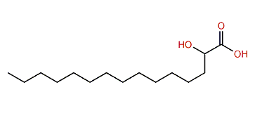 2-Hydroxypentadecanoic acid